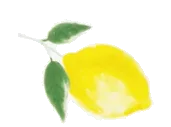 Aquarelle Studio Citron