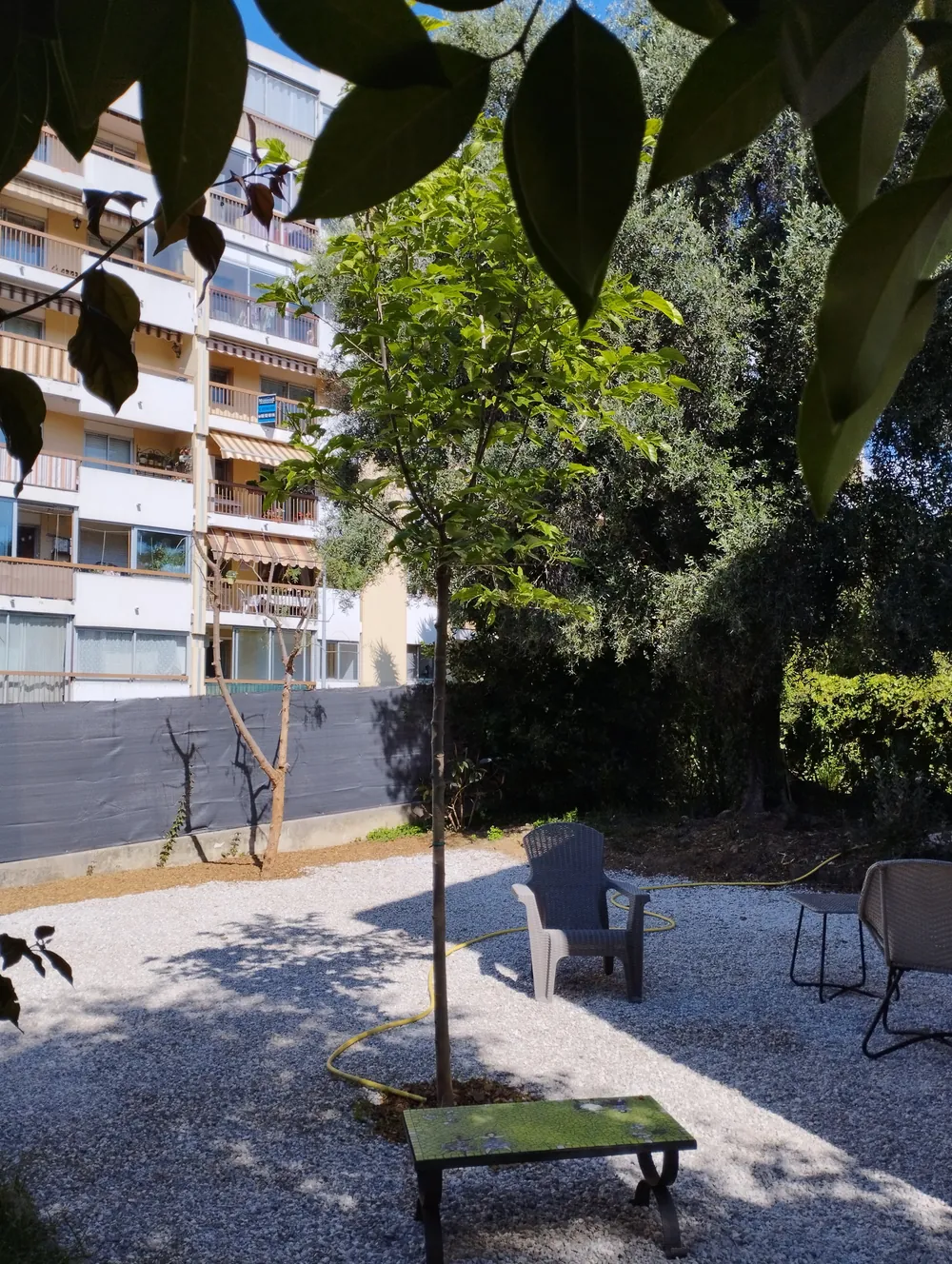 La cour arborée de la maison d’hôtes