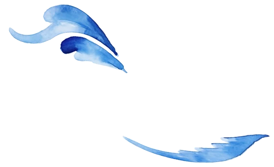 Maison Floribel Cagnes-sur-Mer, chambre d’hôtes