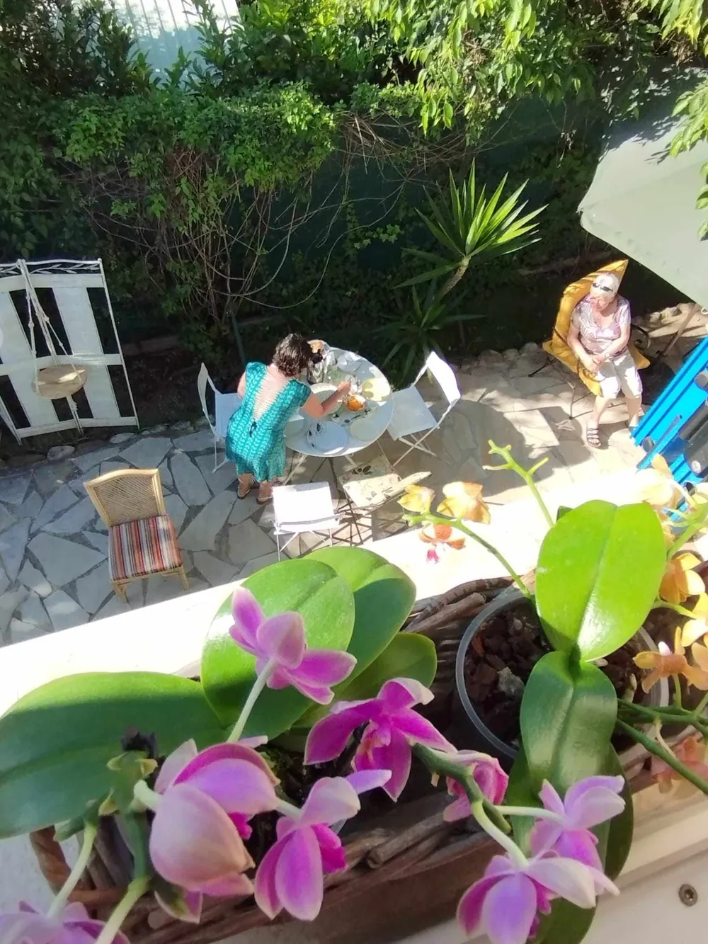 Orchidées et petit-déjeuner au jardin